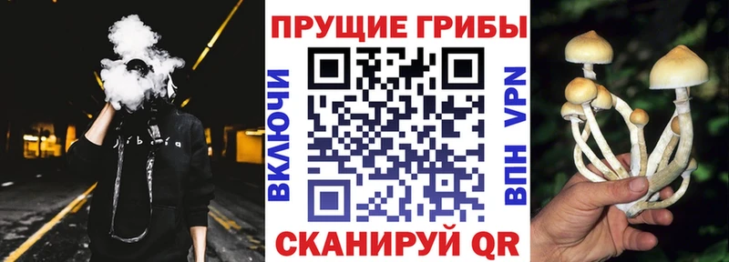 наркошоп  Оленегорск  Галлюциногенные грибы мицелий 